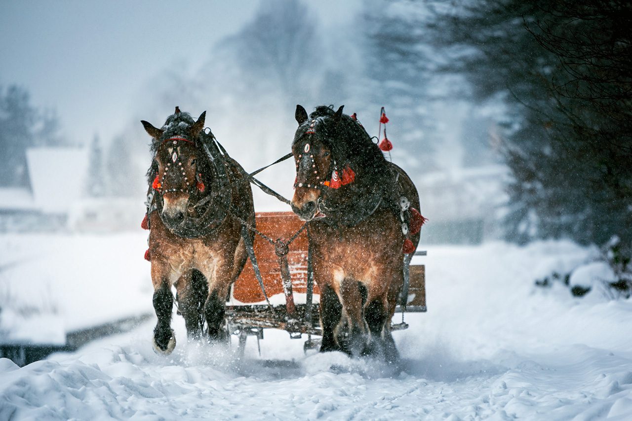 Winter Activities Guide Vacay Whitefish